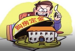 怎么了解房产是否交付（怎么了解房产是否交付成功）