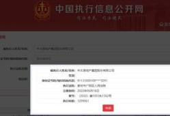 怎么查房产财务公司资质（房产公司资质查询）