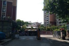 金诺房产.怎么样（金诺房地产）