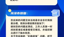 丽水房产税怎么退（丽水退税政策）