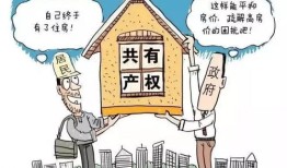 有房产的黑户怎么处理（黑户名下有房产）