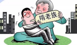 黑户怎么抵押房产过户（黑户怎么抵押房产过户给子女）