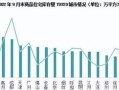 抄底内地房产怎么处理的（抄底楼市什么意思）