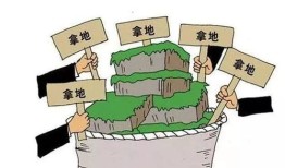 房产多家起诉按怎么分配（房子多家查封如何拍卖）