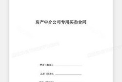 房产债务情况怎么写范本（房产债务情况怎么写范本模板）