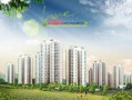 合肥小羊房产怎么样（小羊地产）