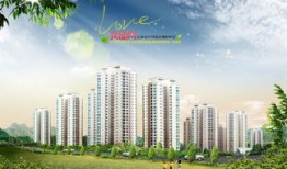 合肥小羊房产怎么样（小羊地产）