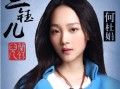 凤儿房产咨询怎么样（歌手凤儿是哪里人）