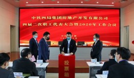 大林房产团队怎么样（大林集团）