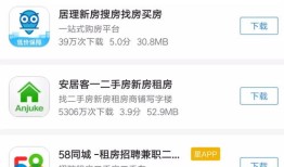 房产拍卖围观流程怎么写（拍卖房围观是什么意思）