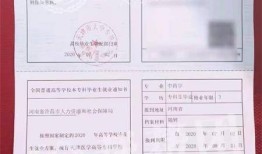 房产查档单丢失怎么补（房产查档单丢失怎么补办）