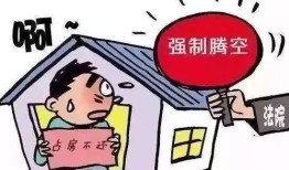 名下无房产案件怎么执行（名下无财产法院怎样执行）