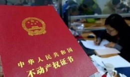房产有无预售资格怎么填（预售登记算不算无房）