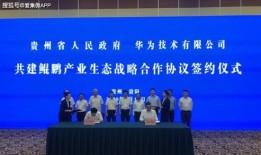 金华鲲鹏房产怎么样（金华鲲鹏企业管理有限公司）
