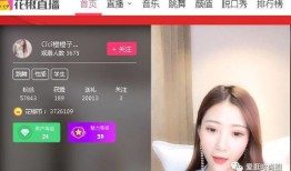 做房产的怎么直播赚钱（房产直播技巧）