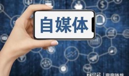 房产直播自媒体怎么赚钱（房产类直播平台）