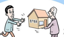 房产继承失败怎么办（房产继承失败怎么办理）