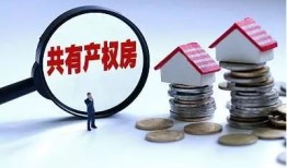 房产产权份额怎么办理（房屋产权份额）