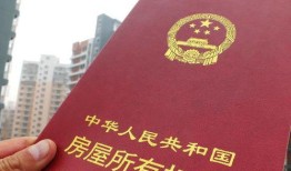 交完契税怎么房产证（交完契税房产证在哪里拿）