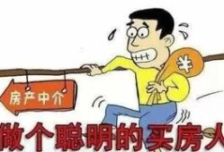 房产中介怎么不买房（在中介看的房子买房不想通过中介怎么办）