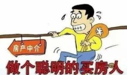 房产中介怎么不买房（在中介看的房子买房不想通过中介怎么办）