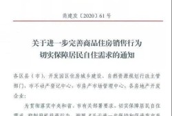 房产申购摇号怎么操作（房产申购摇号怎么操作的）