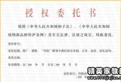 个人房产租赁证明怎么写（个人房产租赁证明怎么写范本）
