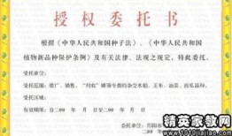 个人房产租赁证明怎么写（个人房产租赁证明怎么写范本）