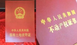 房产证缴税怎么支付（房产证缴税怎么支付的）