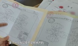 怎么查房产证积分（怎么查房产证积分多少）