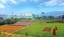广东中南房产怎么样（广东中南集团）