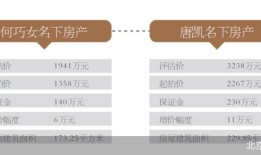 名下共有房产怎么执行（共有房产可以被执行拍卖吗）