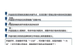 房产开盘提案范文怎么写（房产开盘提案范文怎么写好）