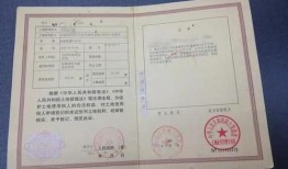 房产确权过户批复怎么写（房产过户确权审批表样本）