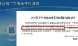 内江众智房产退税怎么退（内江众智房产退税怎么退的）
