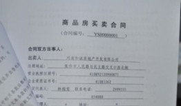 房产过户单价依据怎么写（房屋过户价格怎么写）