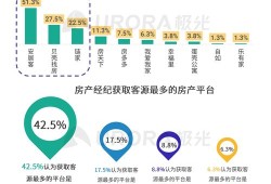 房产经纪起落记怎么写好（房产经纪定义）