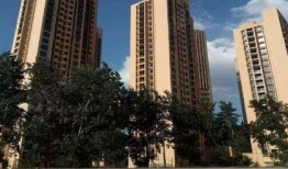 龙湖葛洲坝房产怎么样（葛州坝龙湖）