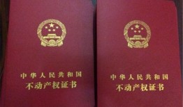 查封无登记房产怎么处理（查封未登记的不动产）