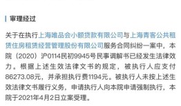法院怎么执行名下房产（法院执行的房子怎么拍卖）