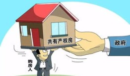 共有房产怎么确定份额（共有房产怎么确定份额和价格）