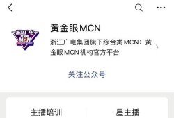 房产类mcn怎么做（mcn项目）