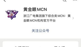 房产类mcn怎么做（mcn项目）