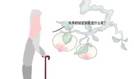 房产销售怎么找工作（做房产销售怎么找房源）