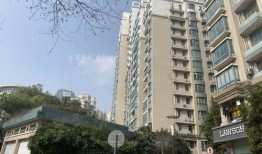 达安房产怎么样（达安房产楼盘怎么样）