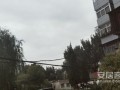 驼岭头房产怎么买（驼岭头村最新消息）