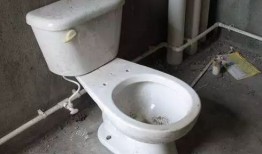 房产达人怎么快速装马桶（房产达人怎么安装瓷砖）