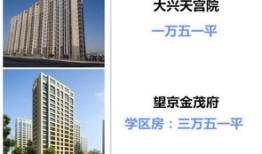 揭秘房产博主怎么变现（房产博主排名）