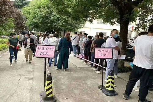 南京无房产孩子怎么上学（南京无房怎么上小学）
