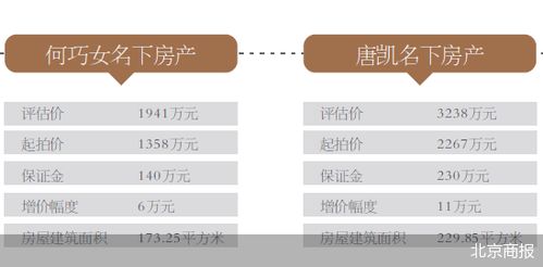 名下共有房产怎么执行（共有房产可以被执行拍卖吗）